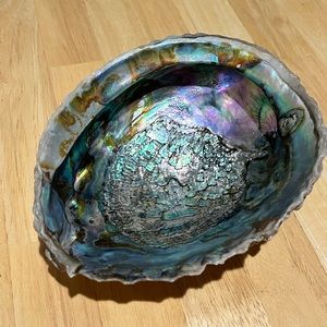 Stunning Mother of Pearl / Abalone Open Shell